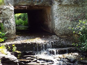 Tunnel Falls